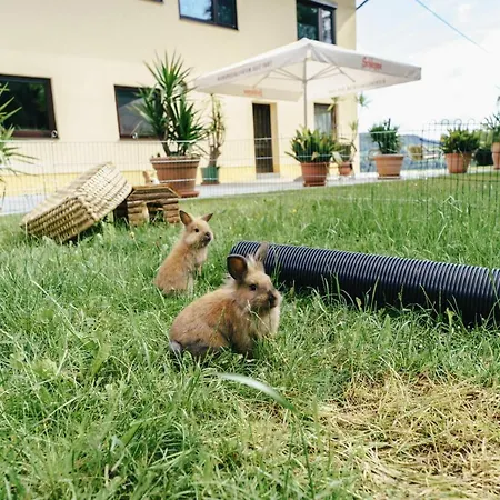 Appartments Kramer Apartamento