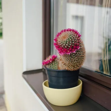 Apartament Appartments Kramer