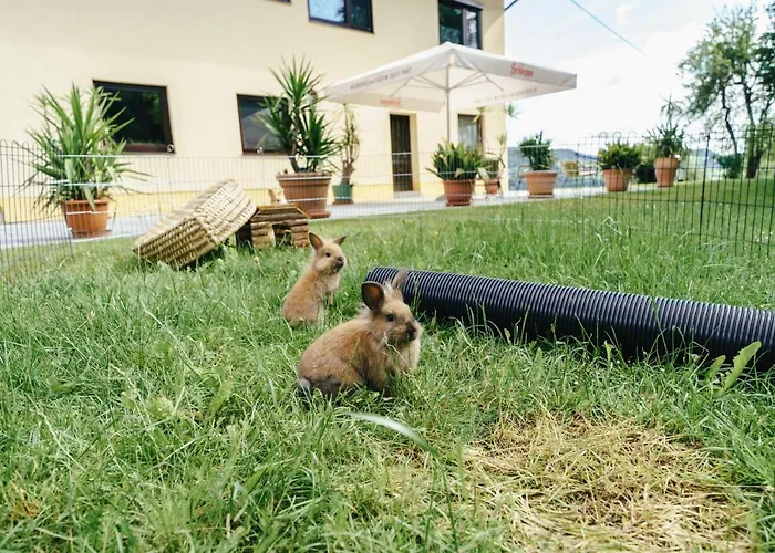 Appartments Kramer Apartman