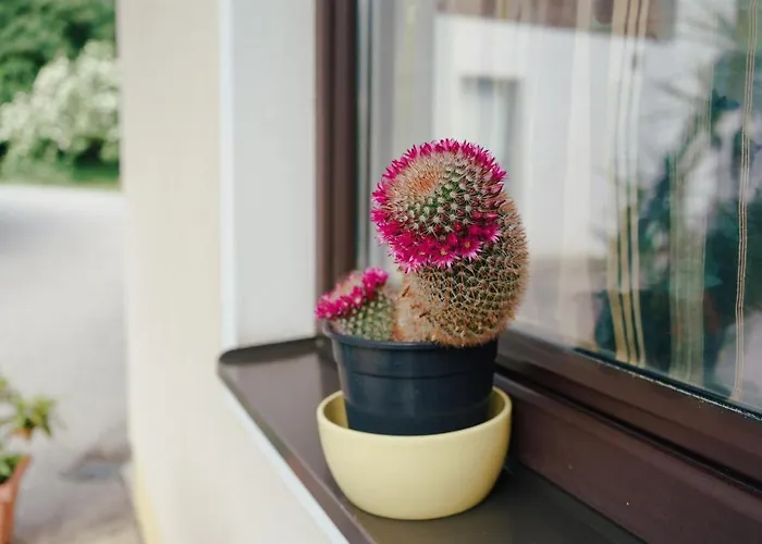 Apartman Appartments Kramer